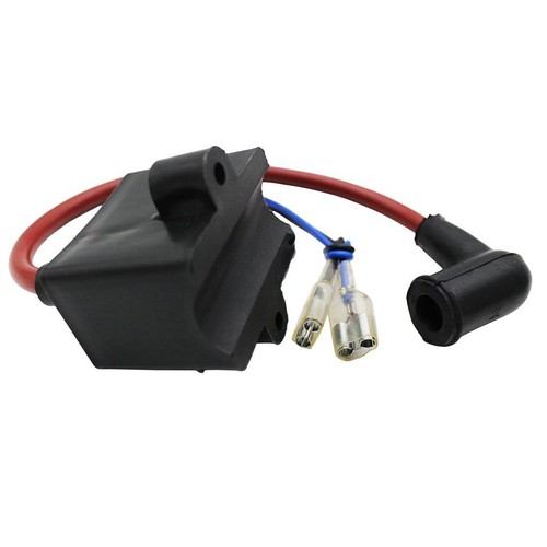 Electric kit 80cc bike - electric,
